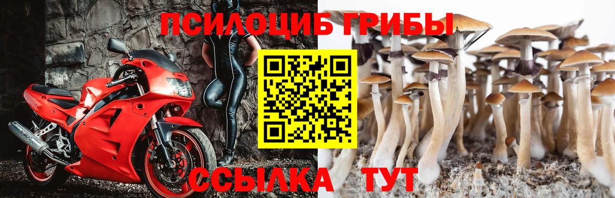 Псилоцибиновые грибы мицелий  Галлюциногенные грибы ЛСД  Вход с VPN  Ростов Великий 